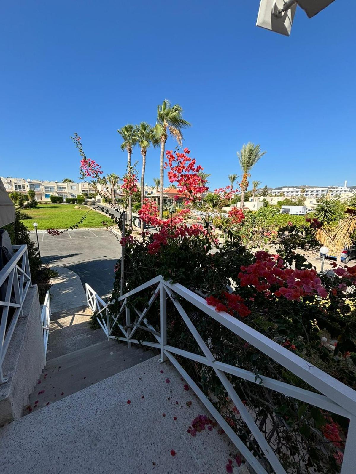 Horizon Bliss At Coral Bay Apartamento Peyia Exterior foto